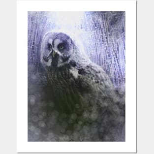 Gray Owl Spirit Posters and Art